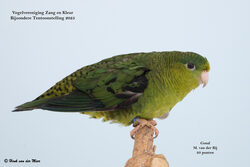 Vogelvereniging Zang en Kleur - Zevenhuizen - Bijzondere Tentoonstelling 2025